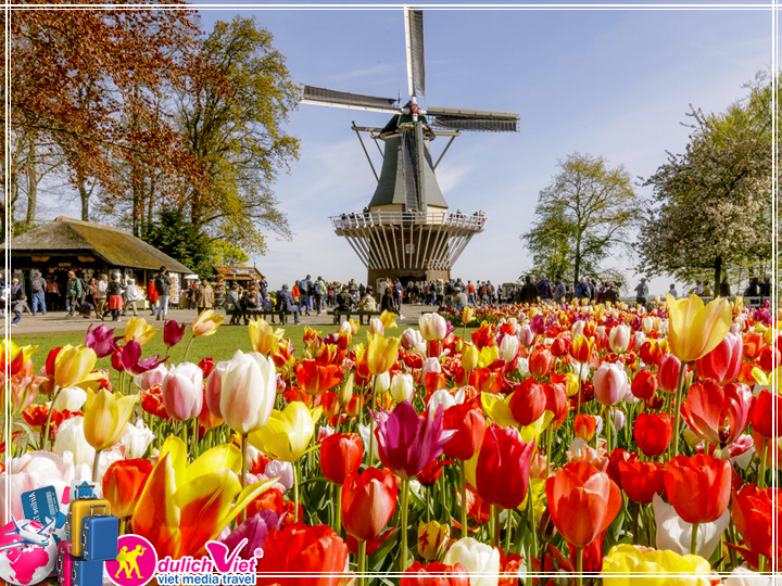 Du lịch Châu Âu Pháp - Bỉ - Hà Lan lễ hội hoa Tulip từ Sài Gòn 2018